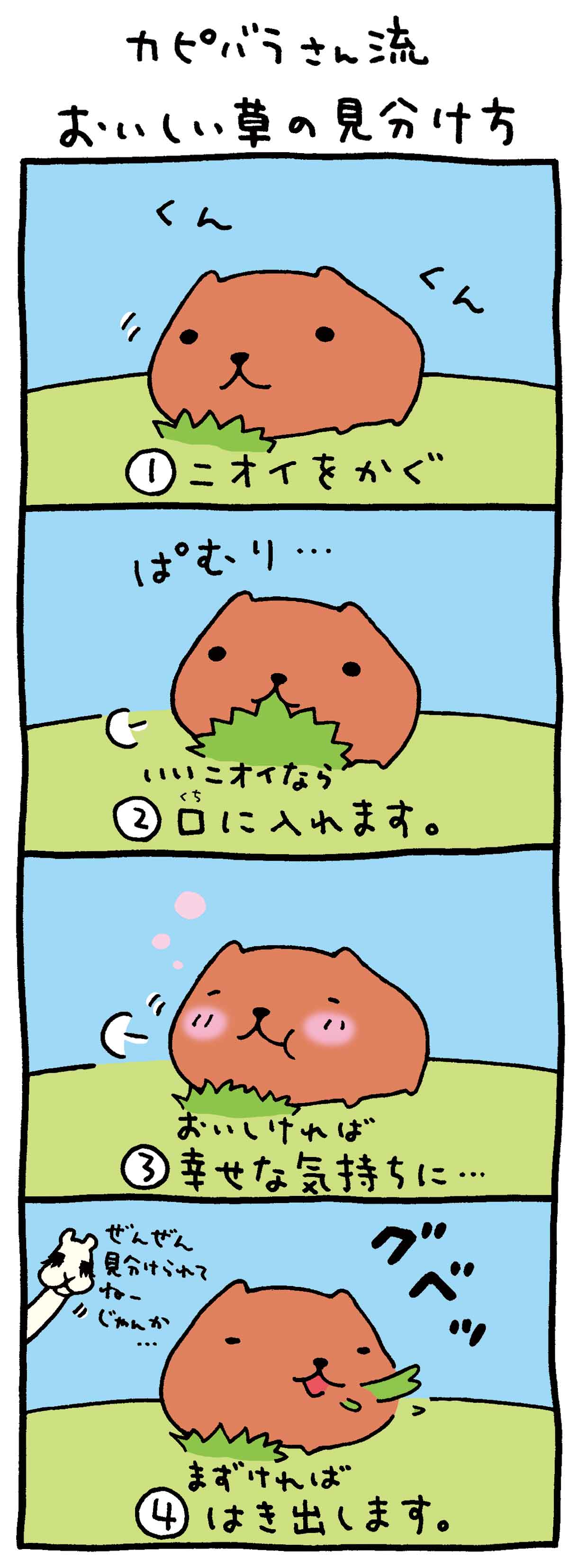 カピバラさんの画像 原寸画像検索