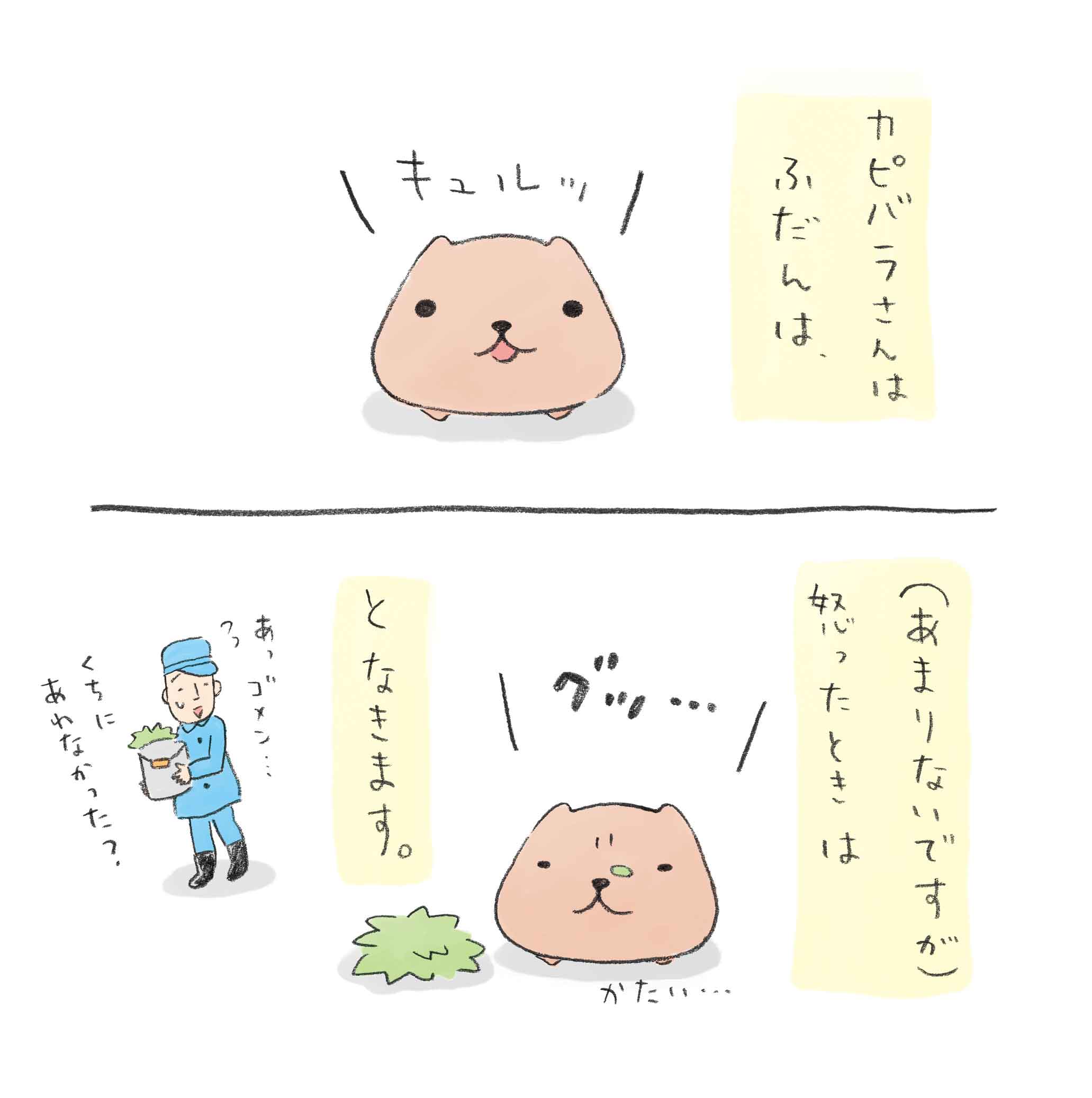 カピバラさんの画像 原寸画像検索